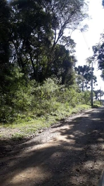 null: 3ª foto da galeria de imagens do imóvel