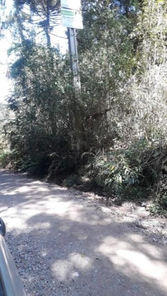 null: 4ª foto da galeria de imagens do imóvel