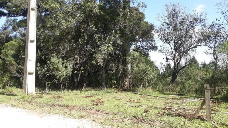 null: 5ª foto da galeria de imagens do imóvel