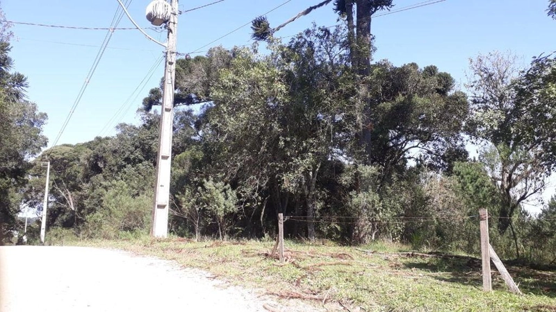 null: 6ª foto da galeria de imagens do imóvel