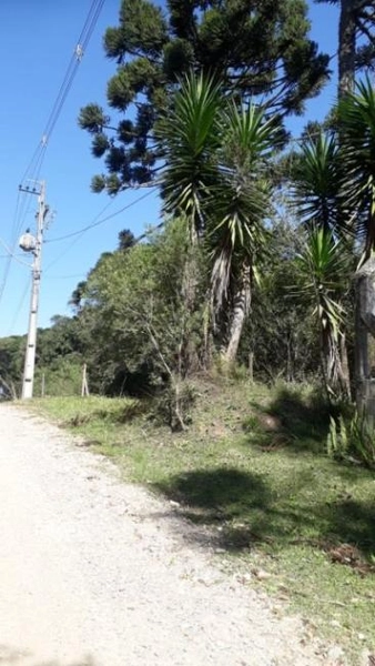 null: 7ª foto da galeria de imagens do imóvel