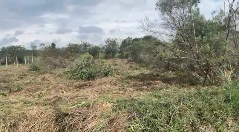 null: 2ª foto da galeria de imagens do imóvel