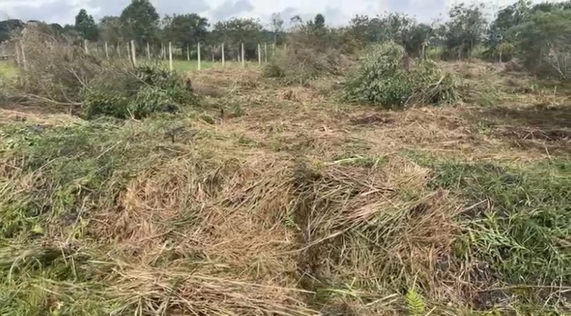 null: 3ª foto da galeria de imagens do imóvel