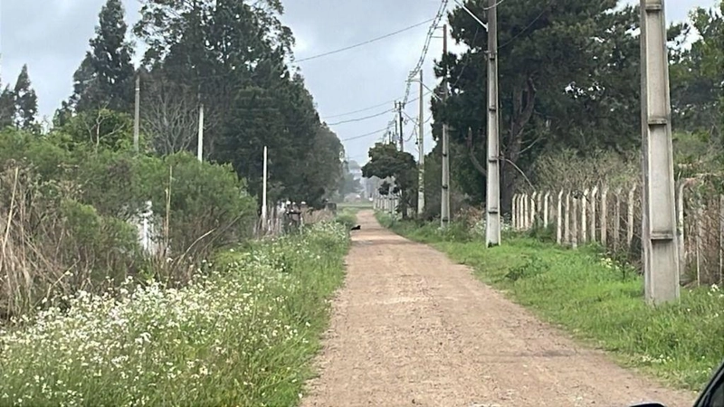 null: 5ª foto da galeria de imagens do imóvel