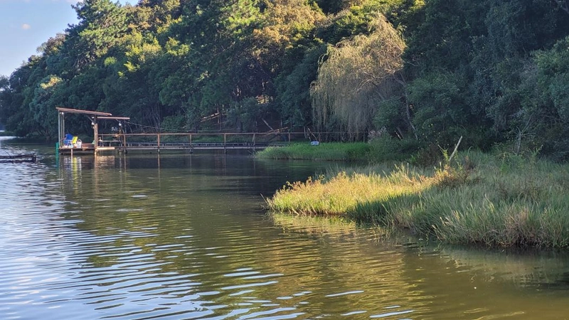 null: 12ª foto da galeria de imagens do imóvel