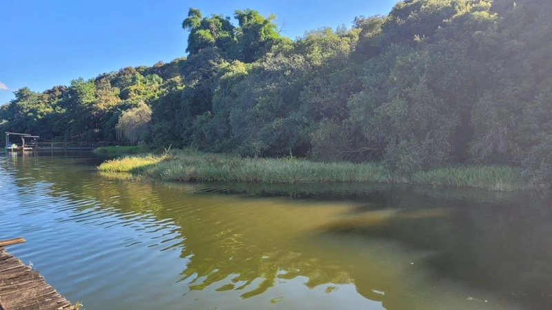 null: 13ª foto da galeria de imagens do imóvel