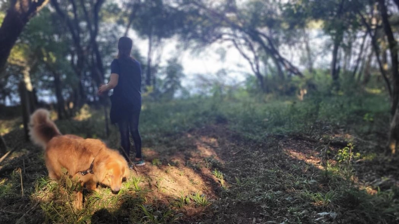 null: 3ª foto da galeria de imagens do imóvel