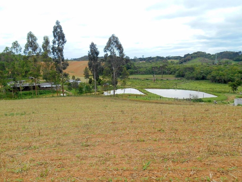 null: 1ª foto da galeria de imagens do imóvel