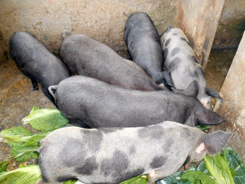 null: 12ª foto da galeria de imagens do imóvel