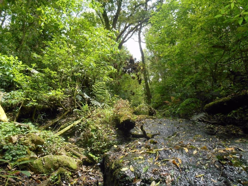 null: 17ª foto da galeria de imagens do imóvel