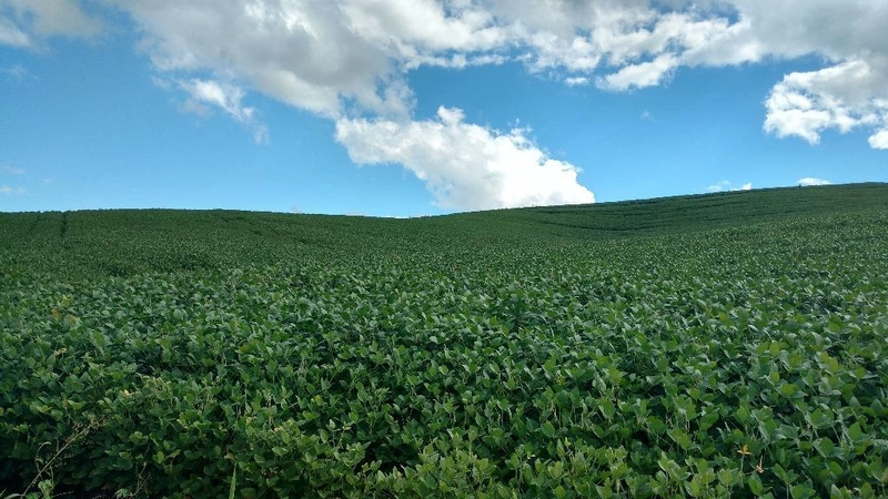 null: 2ª foto da galeria de imagens do imóvel