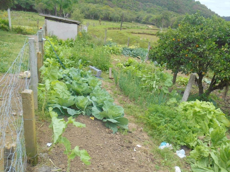 null: 22ª foto da galeria de imagens do imóvel