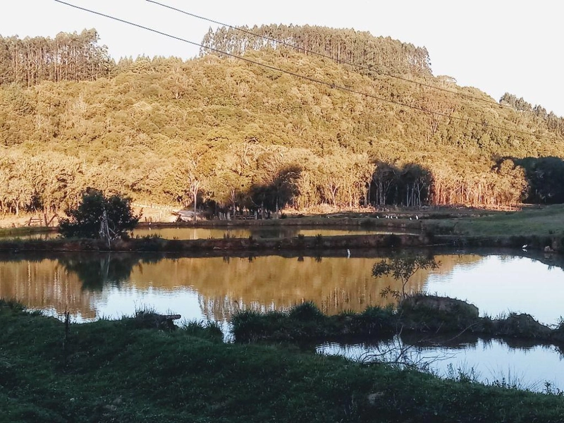 null: 29ª foto da galeria de imagens do imóvel