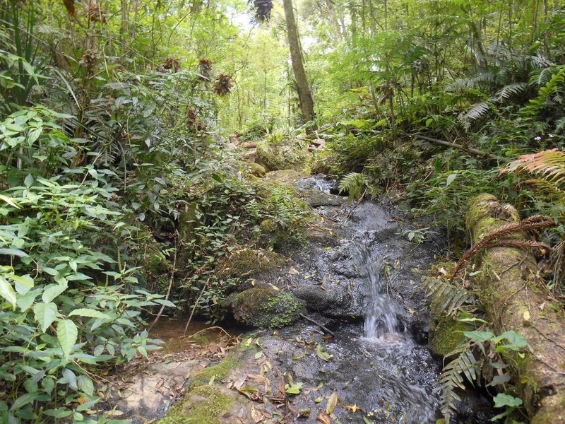 null: 3ª foto da galeria de imagens do imóvel