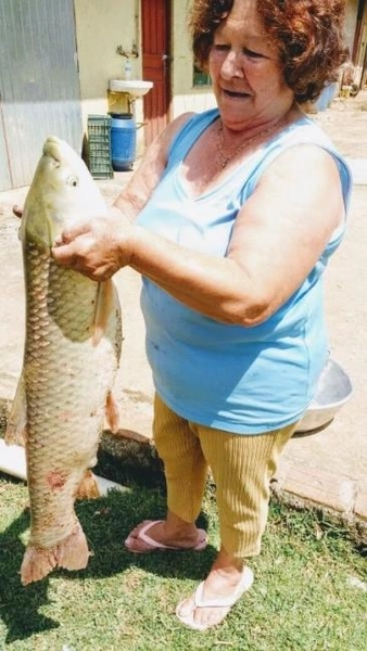 null: 32ª foto da galeria de imagens do imóvel