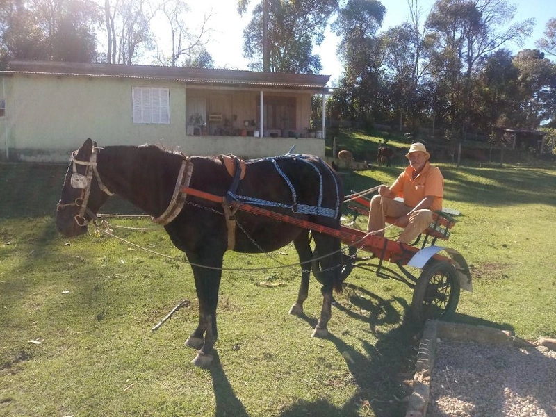 null: 36ª foto da galeria de imagens do imóvel