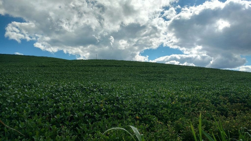 null: 5ª foto da galeria de imagens do imóvel