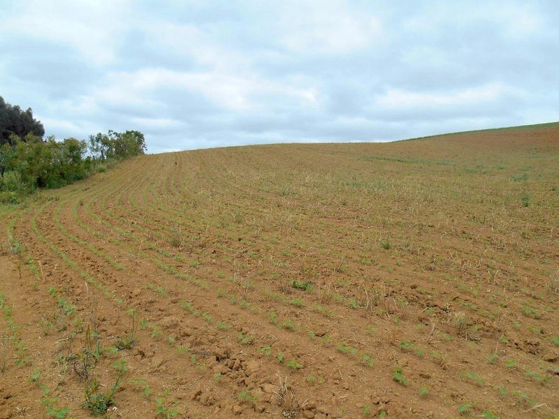 null: 6ª foto da galeria de imagens do imóvel