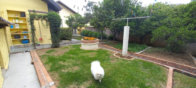 null: 41ª foto da galeria de imagens do imóvel