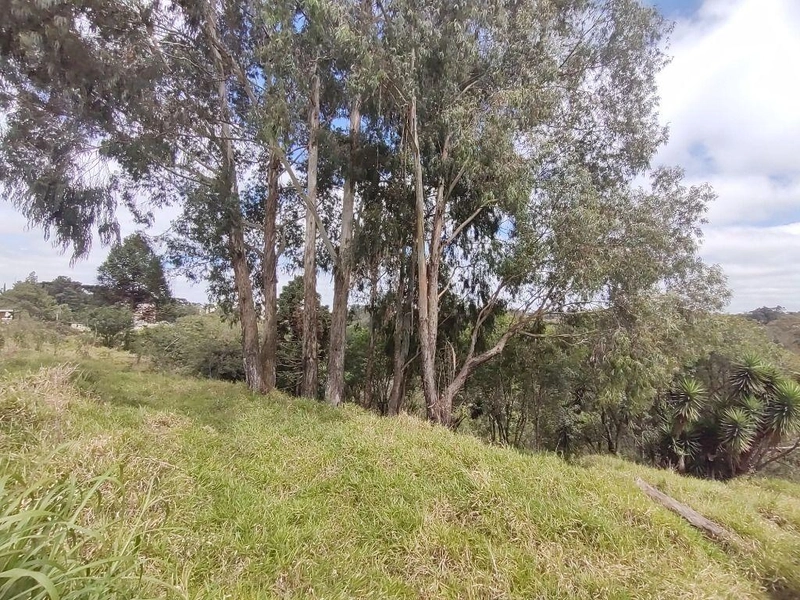 null: 11ª foto da galeria de imagens do imóvel