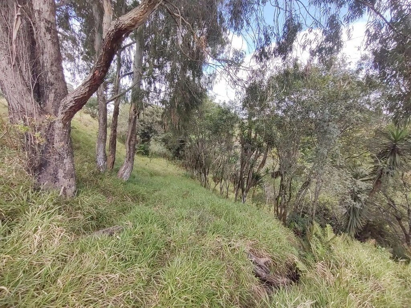 null: 13ª foto da galeria de imagens do imóvel