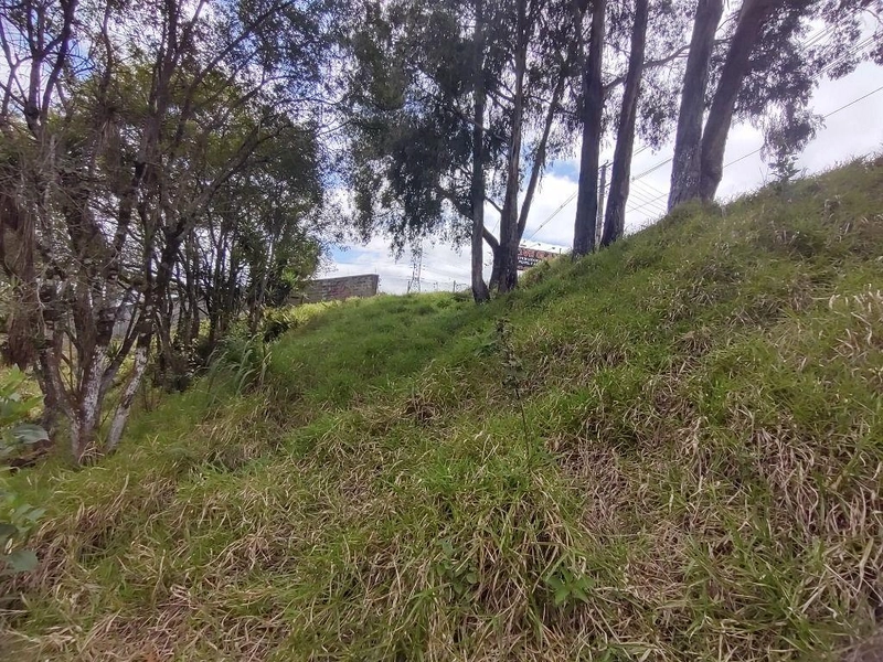 null: 17ª foto da galeria de imagens do imóvel