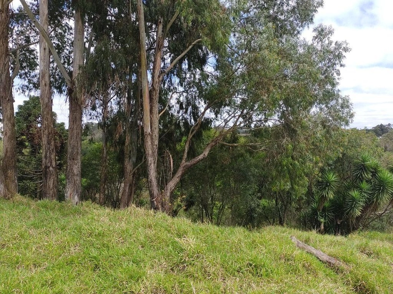 null: 8ª foto da galeria de imagens do imóvel