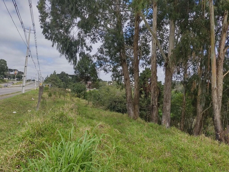 null: 9ª foto da galeria de imagens do imóvel