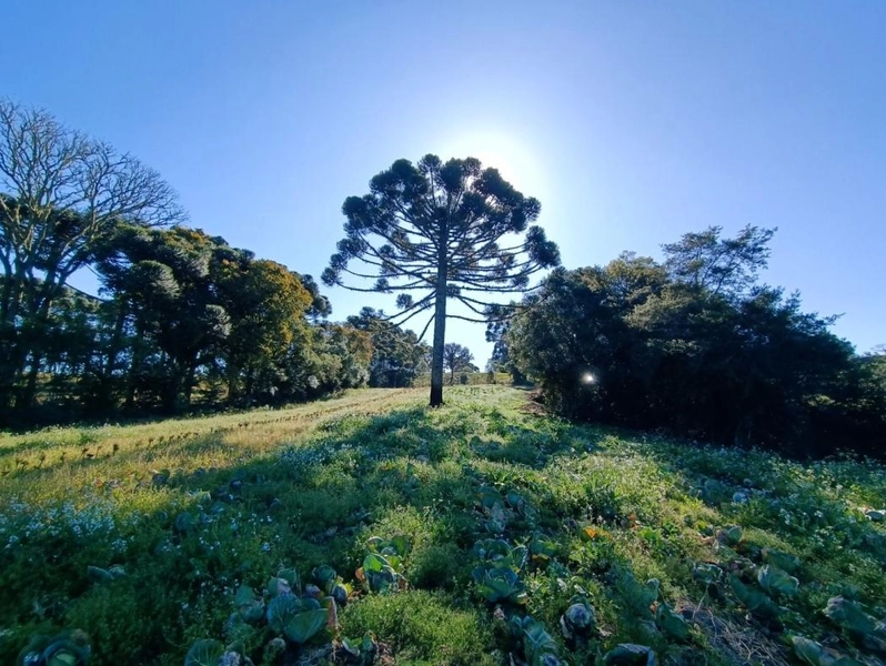 null: 1ª foto da galeria de imagens do imóvel