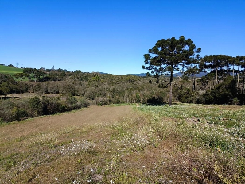 null: 12ª foto da galeria de imagens do imóvel