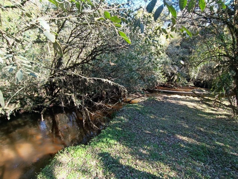 null: 15ª foto da galeria de imagens do imóvel