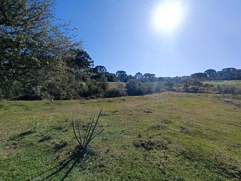 null: 25ª foto da galeria de imagens do imóvel