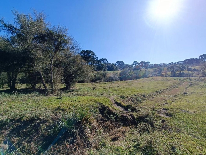 null: 26ª foto da galeria de imagens do imóvel