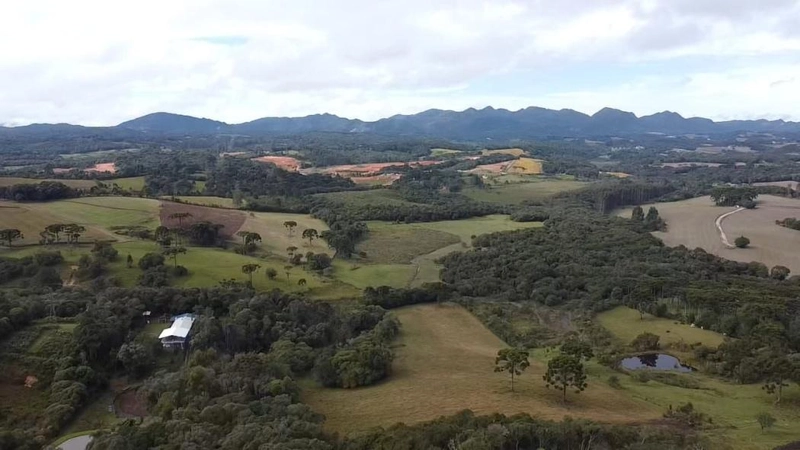 null: 33ª foto da galeria de imagens do imóvel