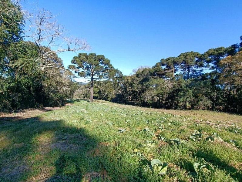 null: 7ª foto da galeria de imagens do imóvel