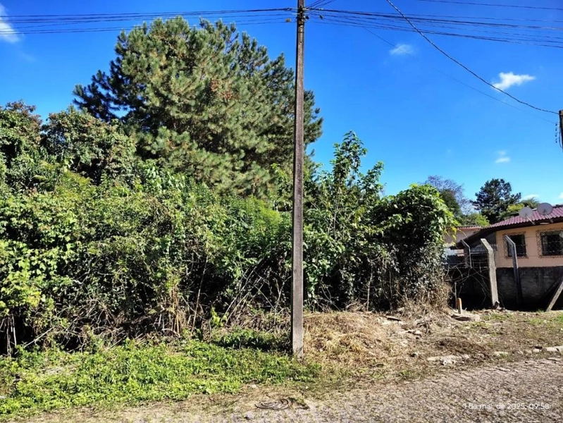 null: 3ª foto da galeria de imagens do imóvel