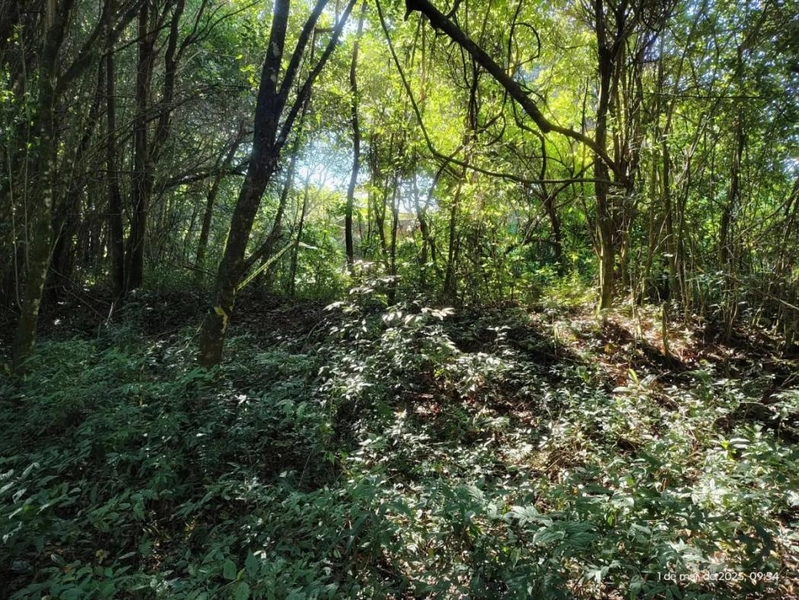 null: 6ª foto da galeria de imagens do imóvel