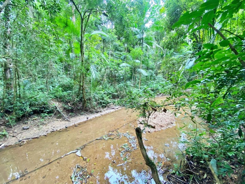 null: 11ª foto da galeria de imagens do imóvel