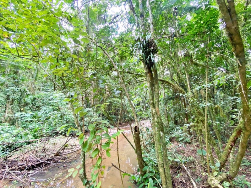 null: 12ª foto da galeria de imagens do imóvel