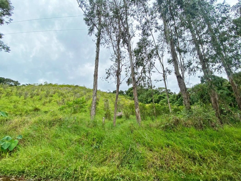 null: 19ª foto da galeria de imagens do imóvel