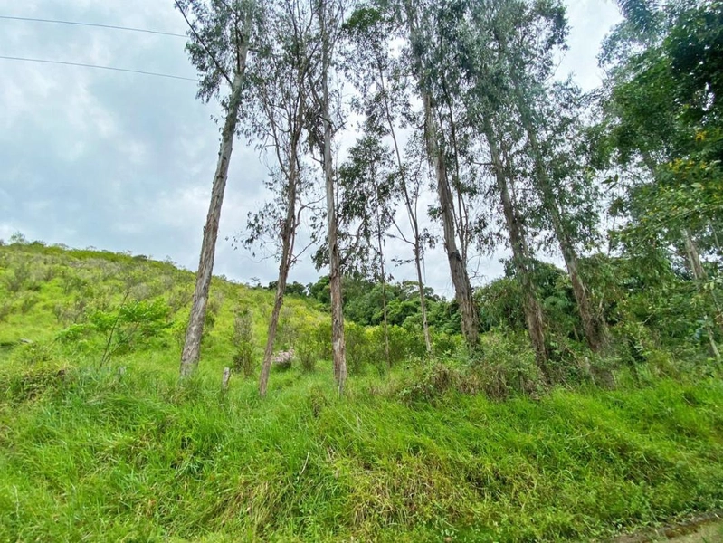 null: 20ª foto da galeria de imagens do imóvel