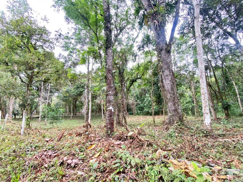 null: 21ª foto da galeria de imagens do imóvel