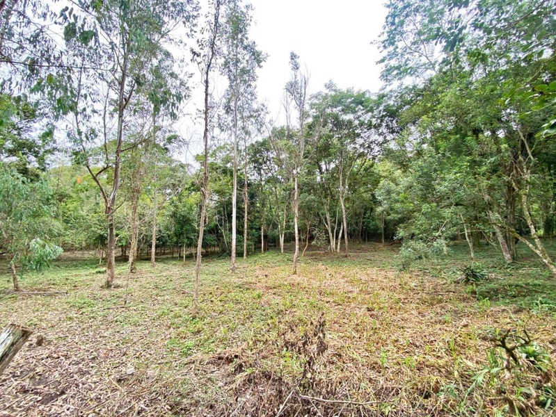 null: 22ª foto da galeria de imagens do imóvel