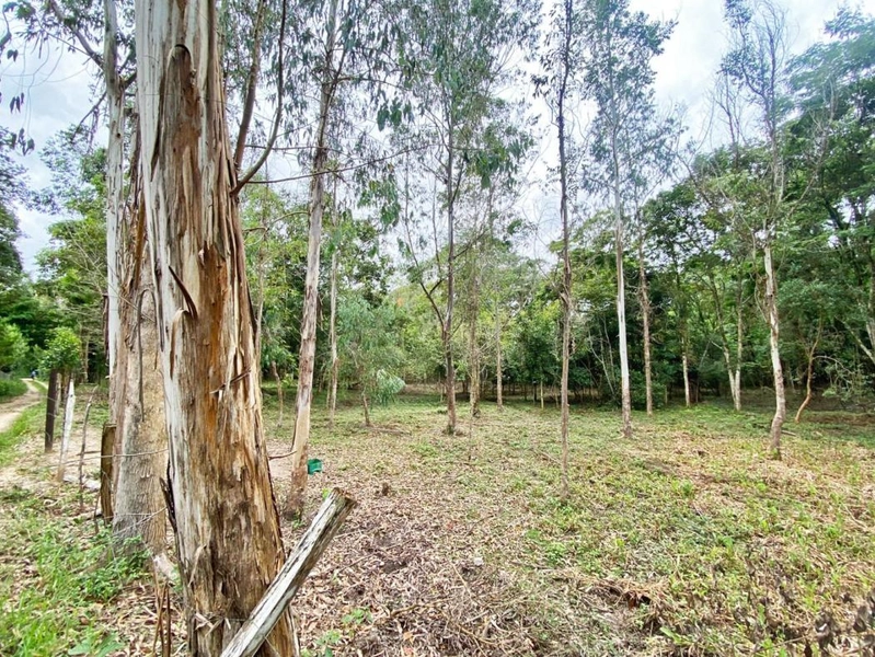 null: 24ª foto da galeria de imagens do imóvel