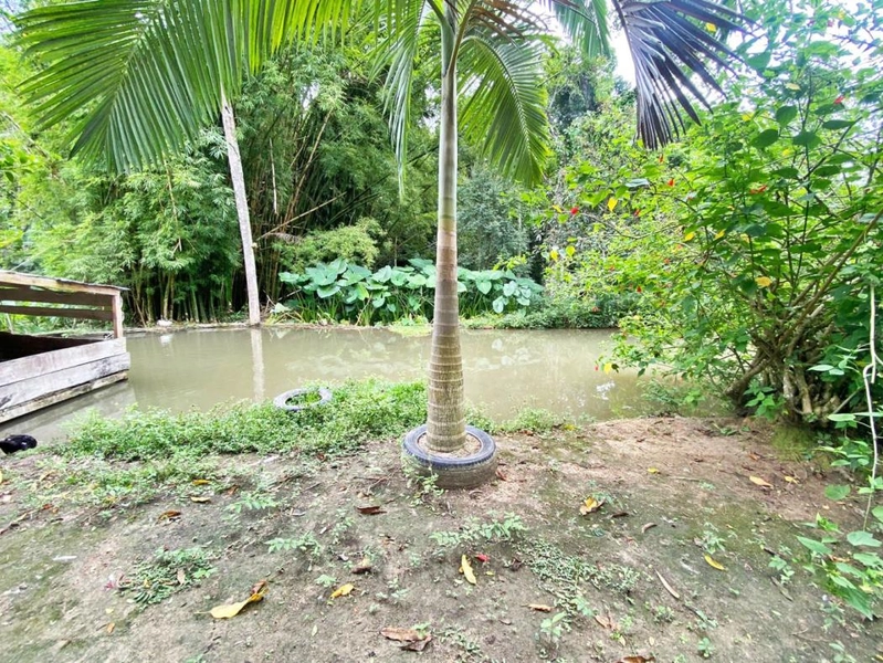 null: 26ª foto da galeria de imagens do imóvel