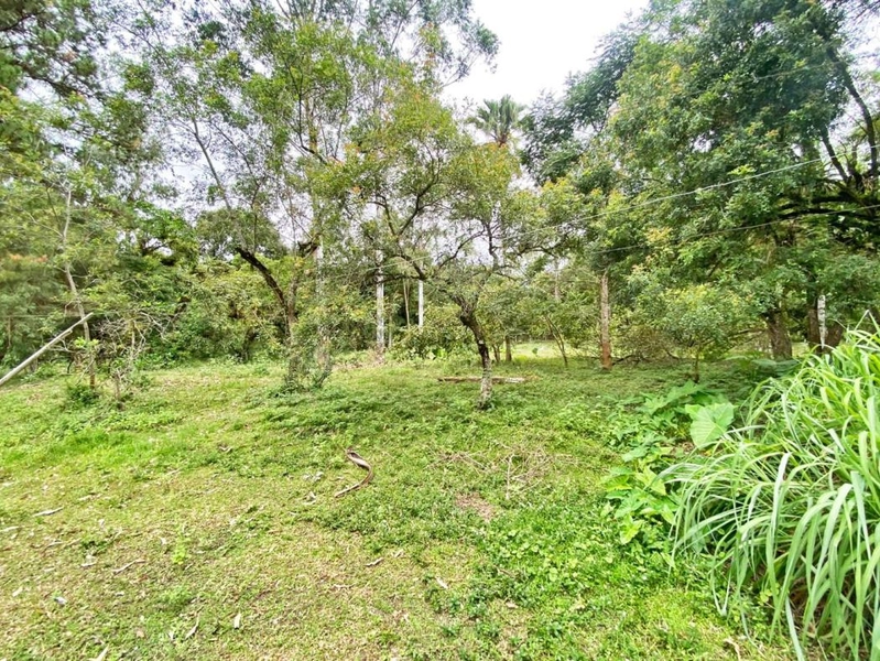 null: 27ª foto da galeria de imagens do imóvel