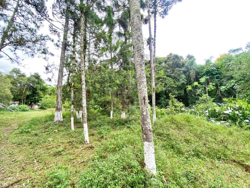 null: 30ª foto da galeria de imagens do imóvel