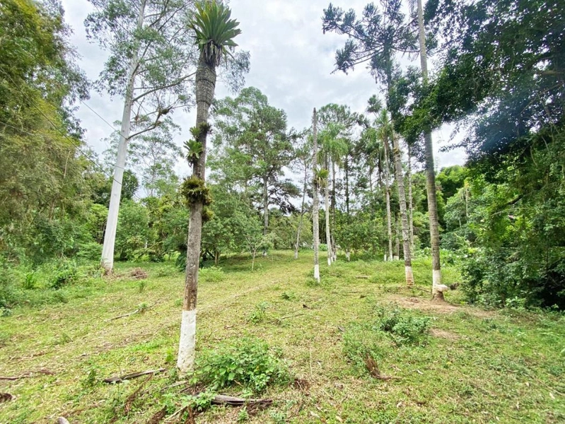 null: 35ª foto da galeria de imagens do imóvel