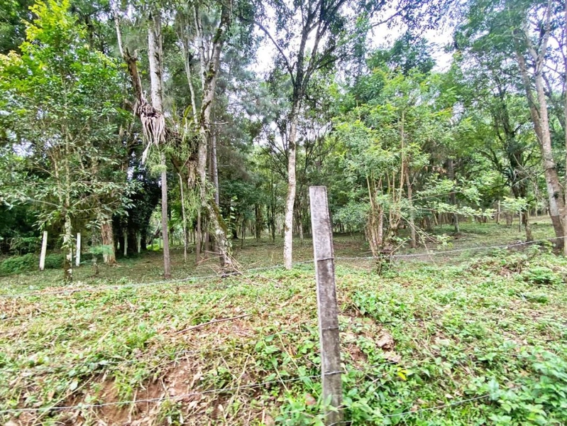 null: 38ª foto da galeria de imagens do imóvel