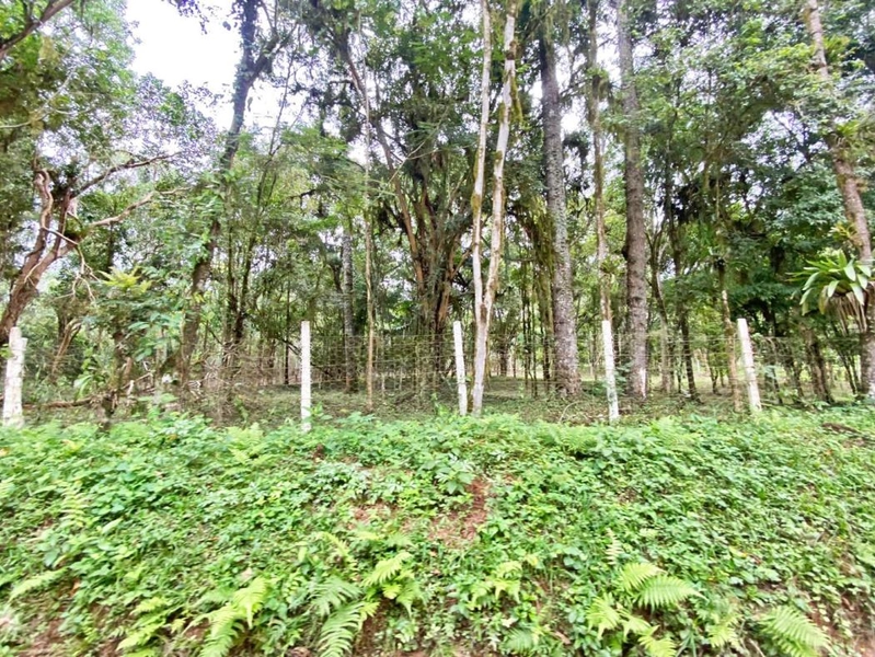 null: 41ª foto da galeria de imagens do imóvel